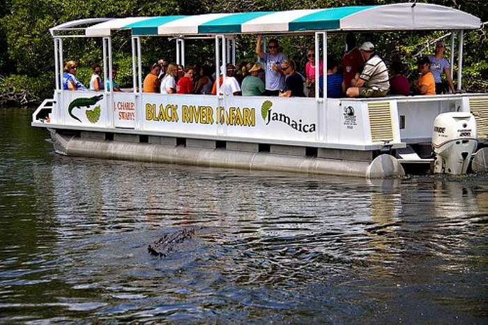 Black River Safari in Negril Jamaica