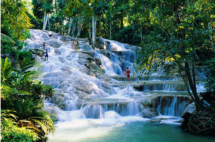 Antsman at Dunn's River Falls in Negril Jamaica