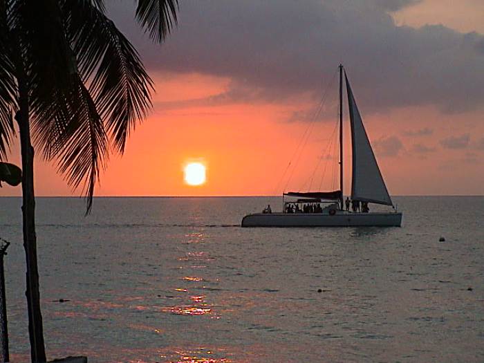 From the Treehouse Veranda in Negril Jamaica