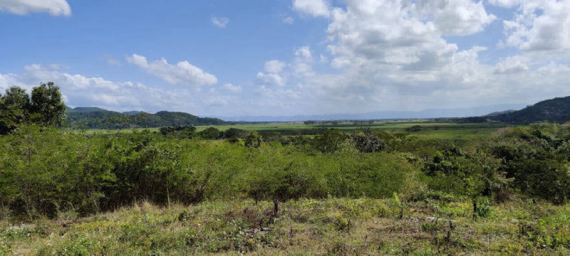 Negril Spot Land for Sale in Negril Jamaica