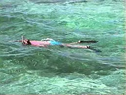 Snorkeling in Negril Jamaica