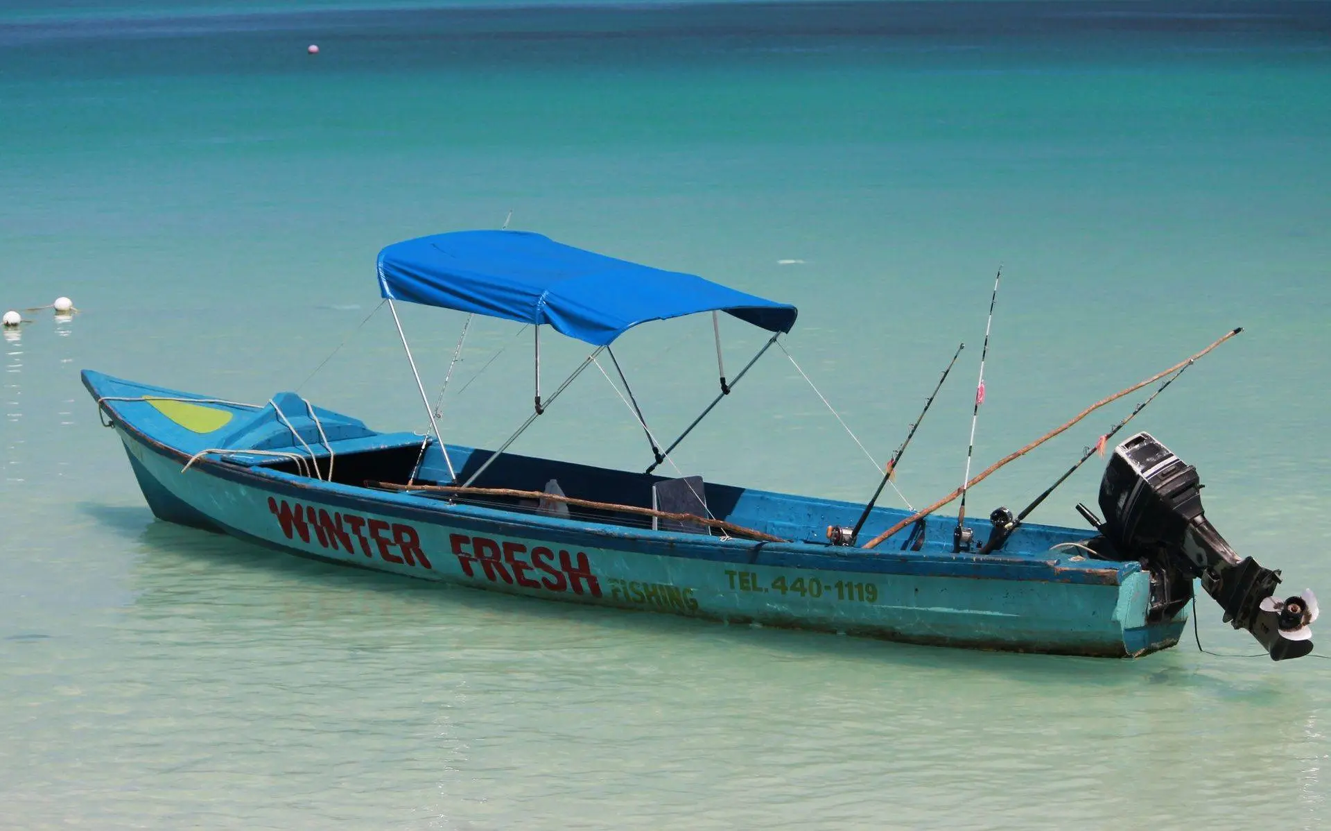 Winter Fresh Fishing in Negril Jamaica